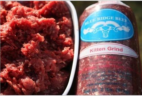 Blue Ridge Beef Frozen Food Kitten Formula Grind Cat Chubs 2 lb