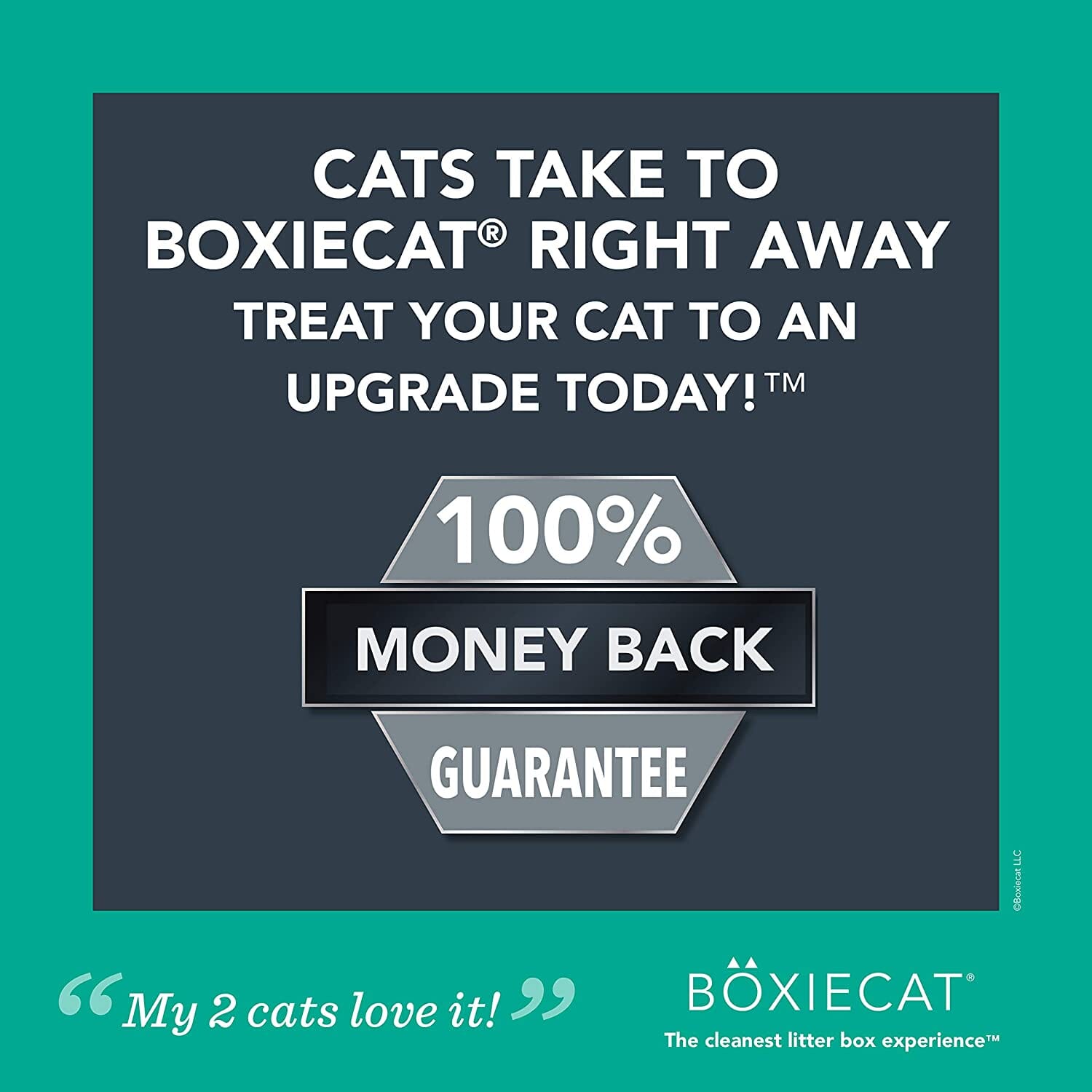 Boxiecat Gently Scented Clay Cat Litter - 40 Lbs  