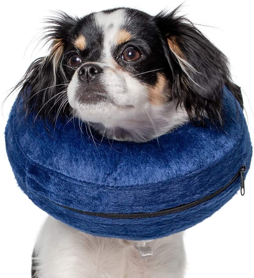 Calm Paws Basic Inflatable Dog Collar - Extra Small