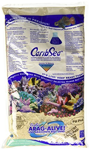CaribSea Arag-Alive! Fiji Pink - 20 lb - Pack of 2