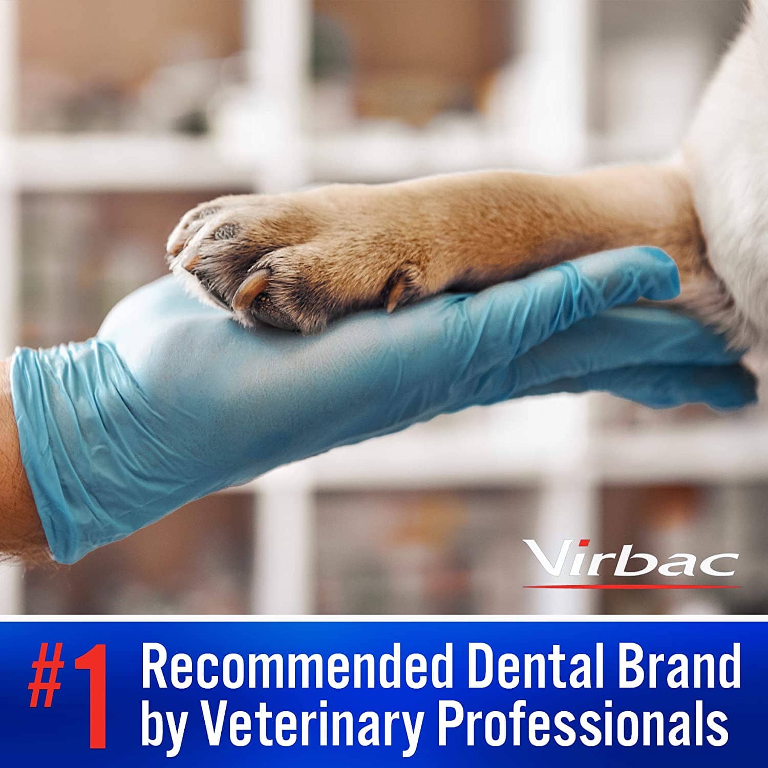 C.E.T. Enzymatic Toothpaste for Dogs & Cats - Poultry - 2.5 Oz - 70 Gm