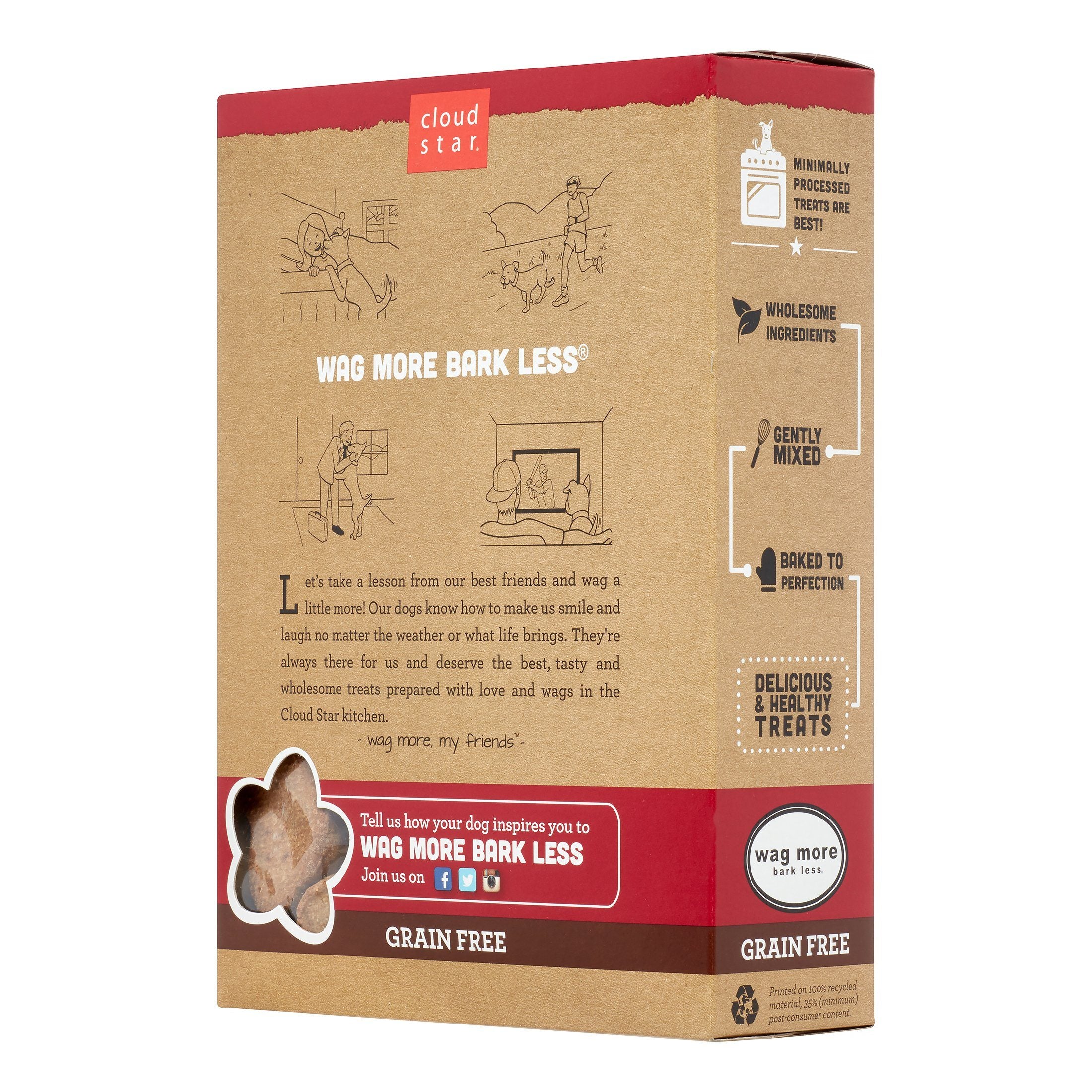 Cloud Star Grain-Free Wag More Bark Less Pumpkin Oven Baked Dog Biscuit Treats - 14 oz Box