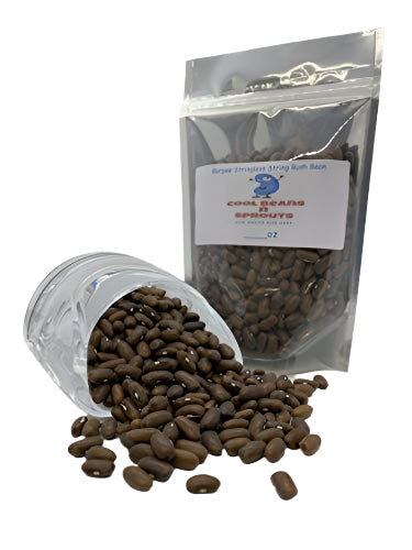 C&S Seed Treat Pictorial Label Suet Cakes Wild Bird Food - 11 Oz - 12 Pack