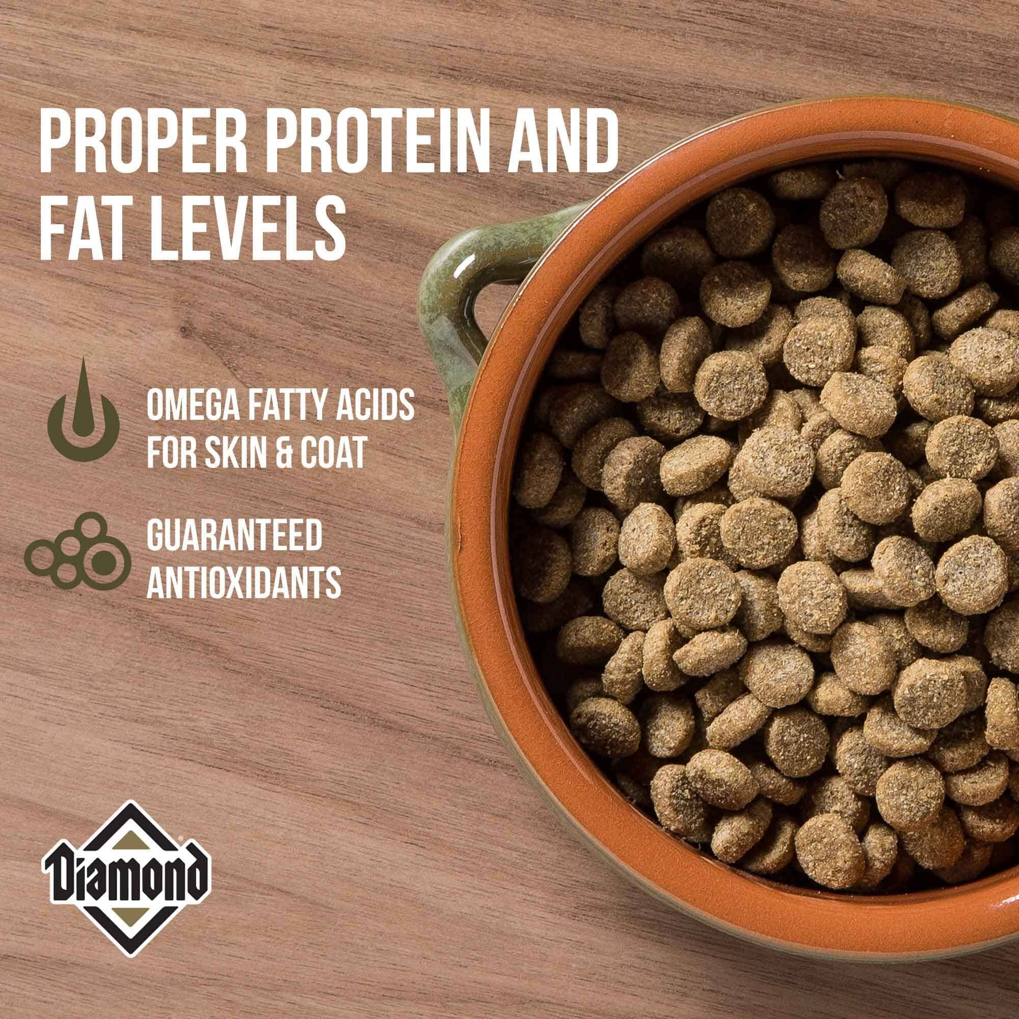 Diamond Pet Foods Hi-Energy Complete and Balanced Sport Dog Dry Dog Food - 50 Lbs