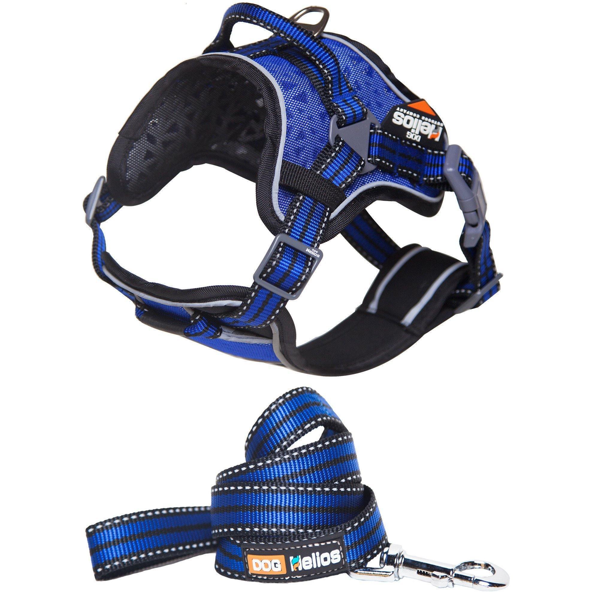 Dog Helios ® 'Journey Wander' Chest Compressive Sporty Adjustable Dog Harness and Leash Small Blue