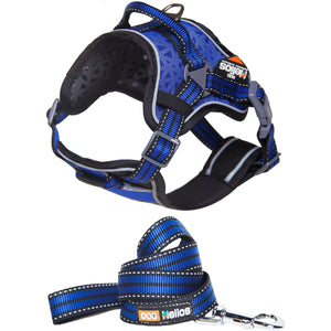 Dog Helios ® 'Journey Wander' Chest Compressive Sporty Adjustable Dog Harness and Leash...