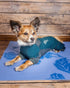 Dog Helios ® 'Rufflex' Mediumweight 4-Way-Stretch Fitness Yoga Dog Tracksuit Jacket