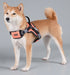 Dog Helios ® 'Scorpion' Sporty High-Performance Free-Range Dog Harness