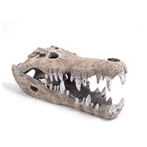 Exotic Environments Nile Crocodile Skull Resin Aquatics Decoration