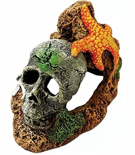 Exotic Environments Skull with Starfish Resin Aquatics Decoration - Small