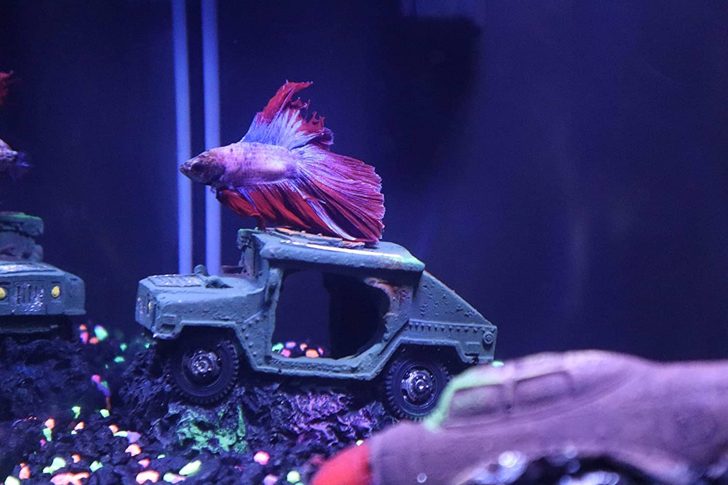 Exotic Environments Sunken Ship Floral Resin Aquatics Decoration - Medium