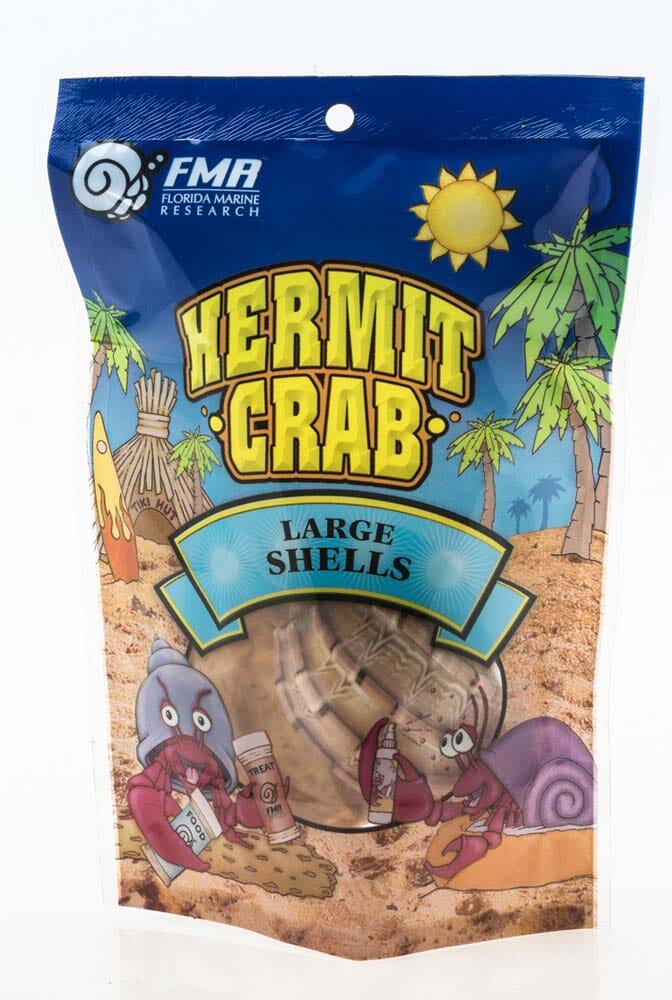 Florida Marine Research Natural Shell Terrarium Ornament Multi-Color - 2 Pack - Large