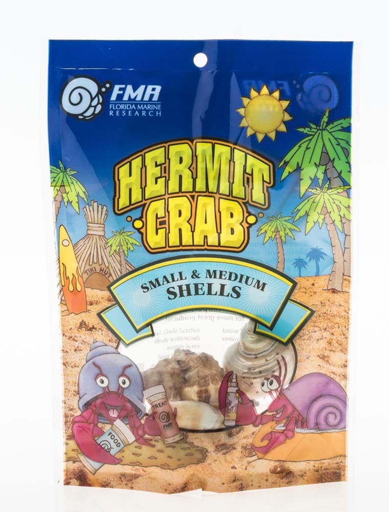 Florida Marine Research Natural Shell Terrarium Ornament Multi-Color - 3 Pack - Medium