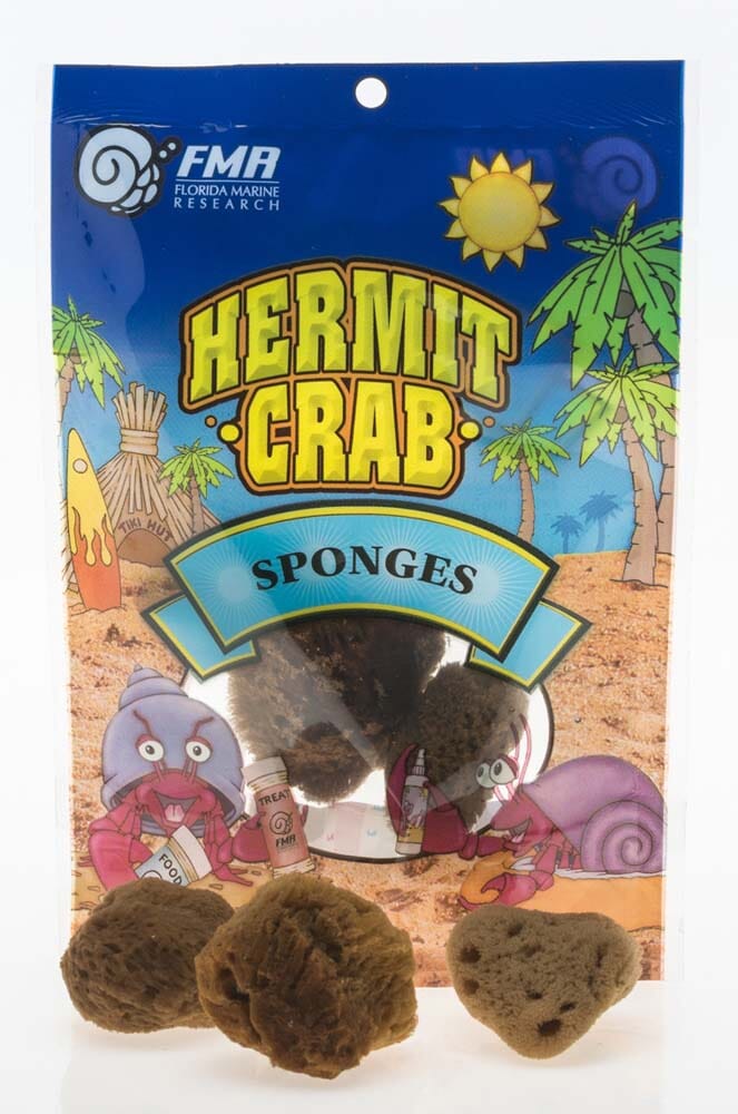 Florida Marine Research Packaged Sponge for Hermit Crab - Brown - 3 Pack - Small  