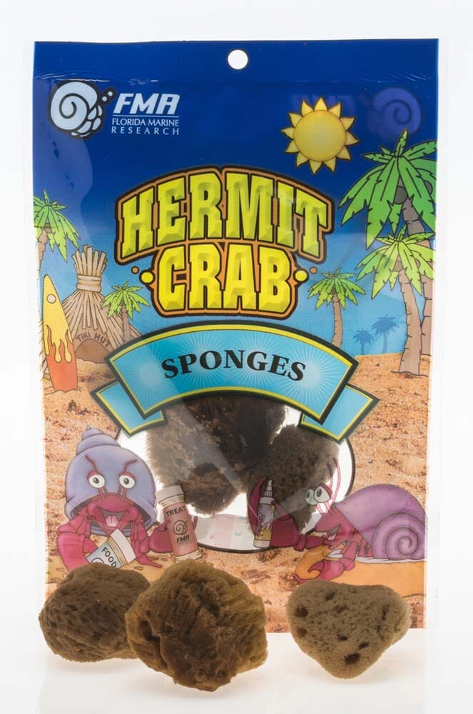 Florida Marine Research Packaged Sponge for Hermit Crab - Brown - 3 Pack - Small