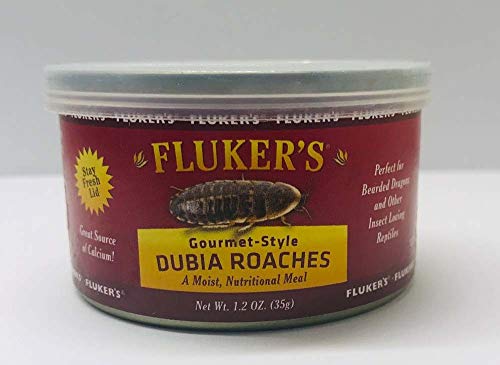 Fluker's Gourmet-Style Dubia Roaches - 1.2 oz