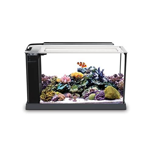 Fluval SEA EVO Saltwater Kit - 5 gal