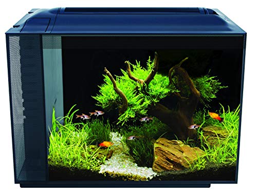 Fluval Spec Aquarium Kit - Black - 16 gal