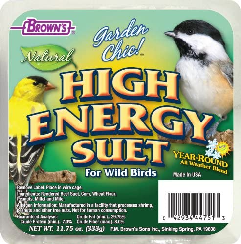 F.M. Brown's High Energy Suet plus Apple Suet Cakes Bird Food - 11.75 oz