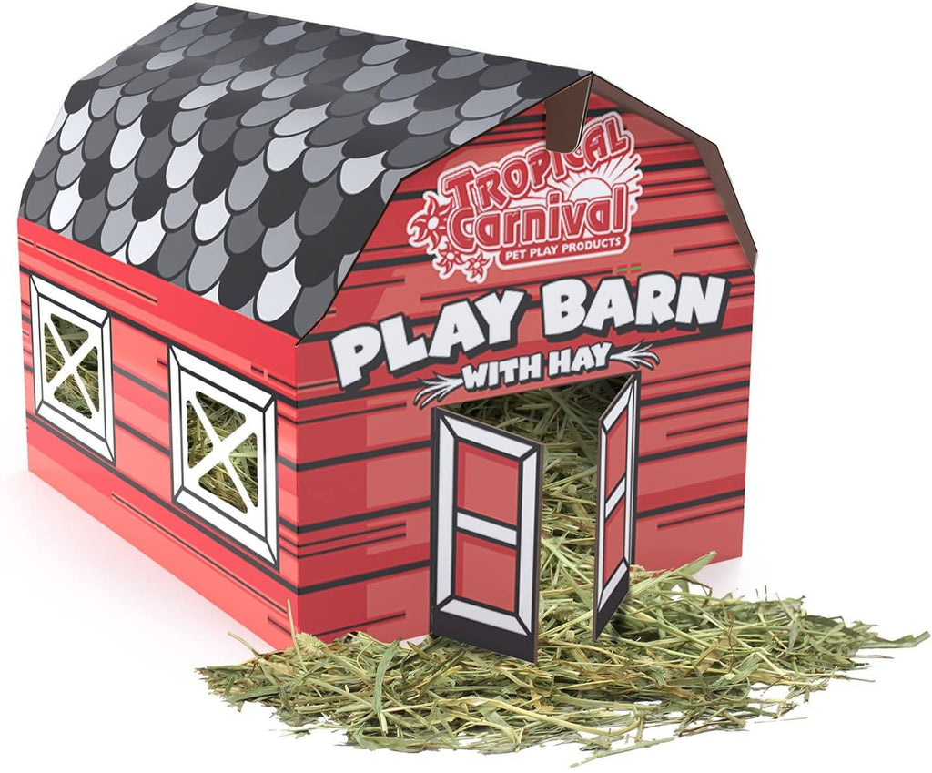 F.M. Brown's Large Play Barn with Hay Small Animal Bedding - 8 oz  