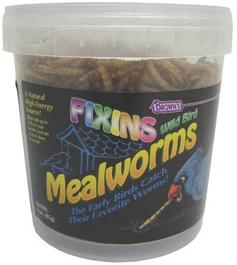 F.M. Brown's Mealworms Fixins Wild Bird Food - 3 oz