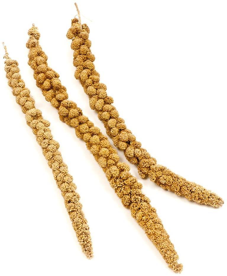 F.M. Brown's Super Premium Golden California Millet Sprays 2 Bird Treats - 320 Count