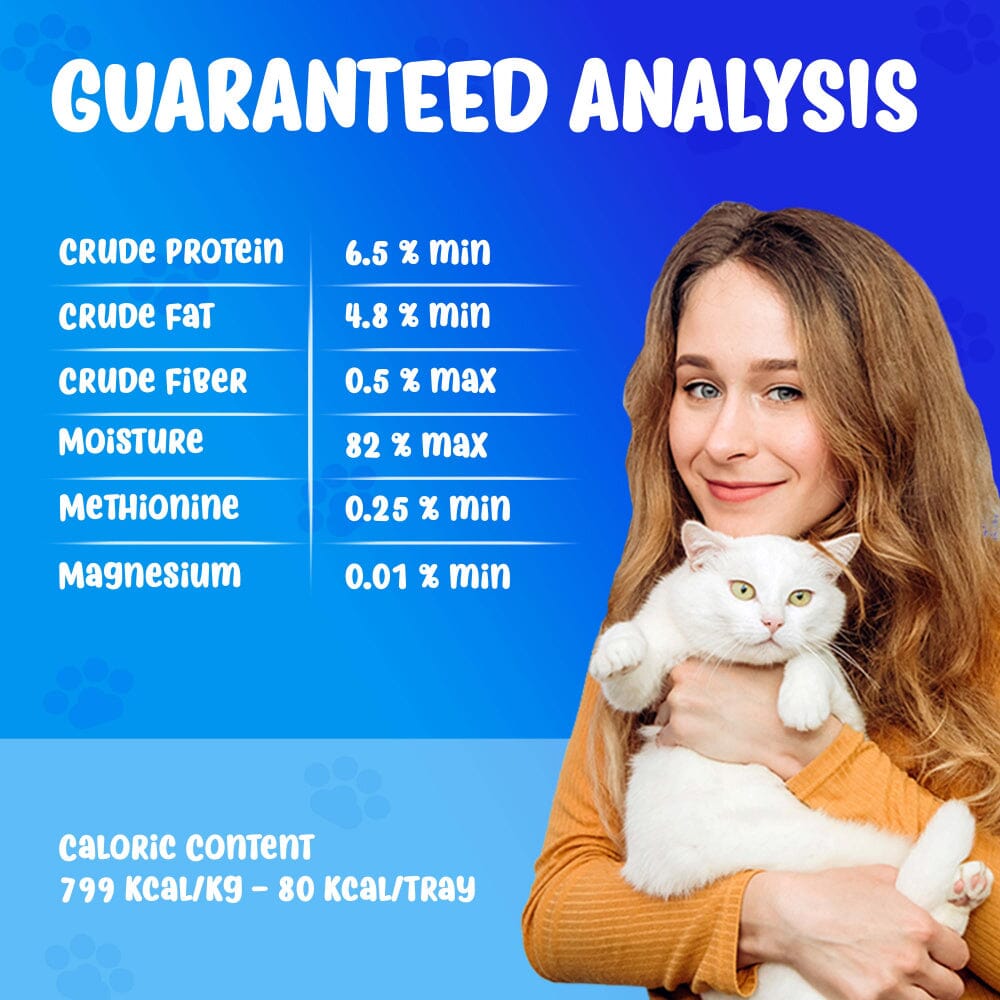 Forza10 Nutraceutic Actiwet Urinary Support Icelandic Fish Recipe Wet Cat Food