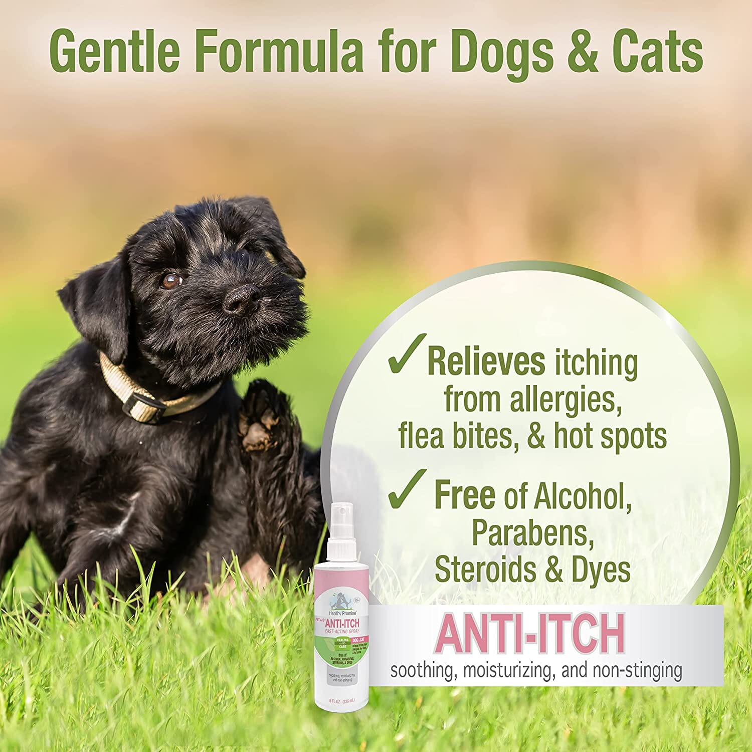 Four Paws Pet Aid Anti-Itch Pet Spray - 8 Oz