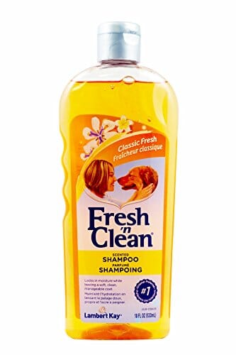 Fresh 'n Clean® Scented Shampoo - Classic Fresh Scent