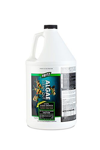 Fritz Algae Clean Out - 1 gal