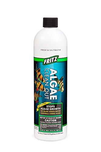 Fritz Algae Clean Out - 16 oz