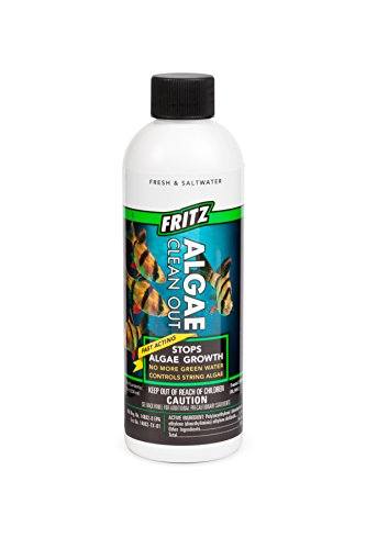 Fritz Algae Clean Out - 8 oz