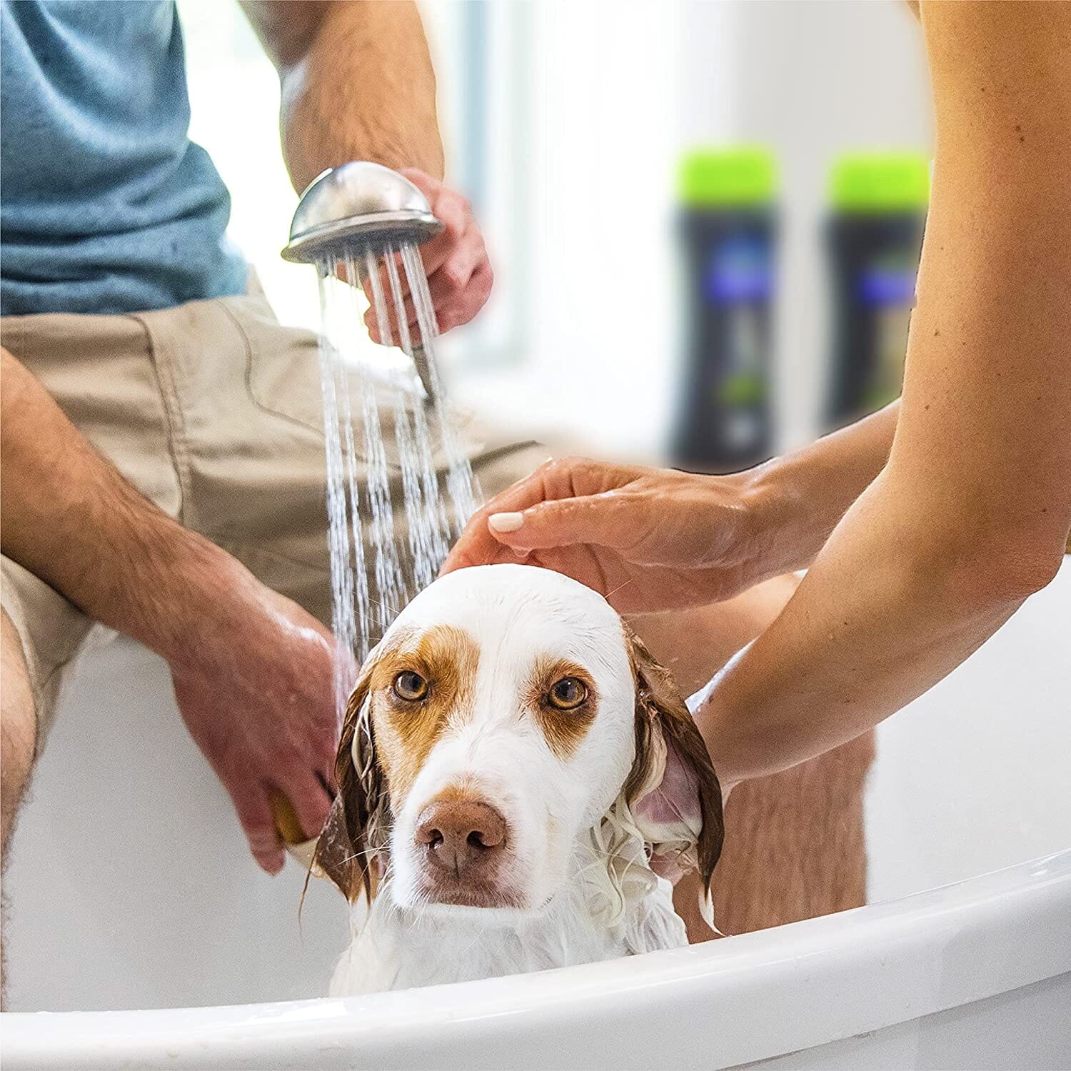 FURminator Deshedding Ultra Premium Dog Shampoo - 16 Oz