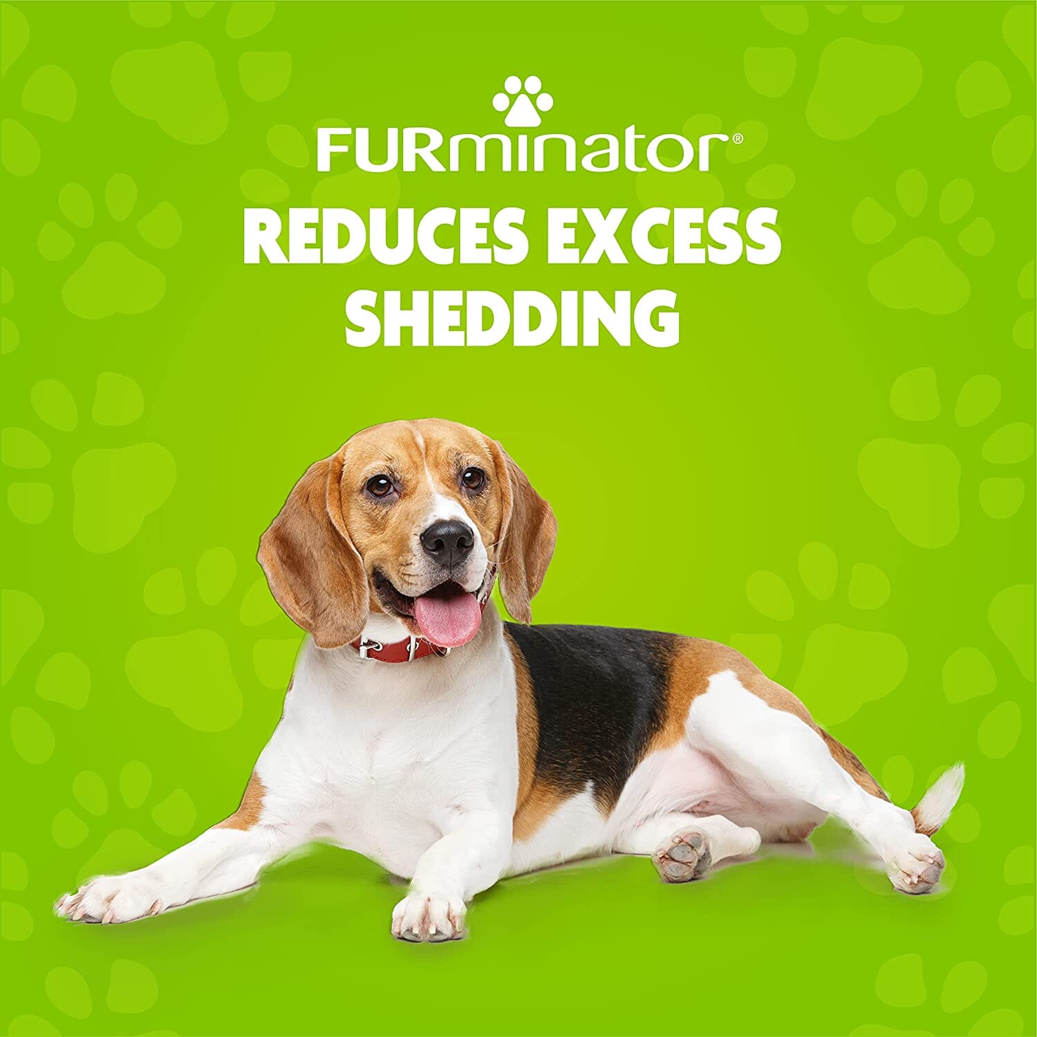 FURminator Deshedding Ultra Premium Dog Shampoo - 16 Oz