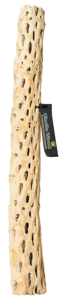 Galapagos Cactus Skeleton Cholla Wood - Brown - 36 in