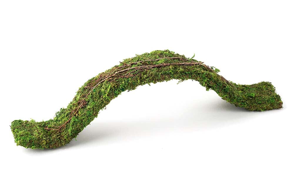 Galapagos Flexible Bridge Terrarium Ornament - Fresh Green - 2 ft