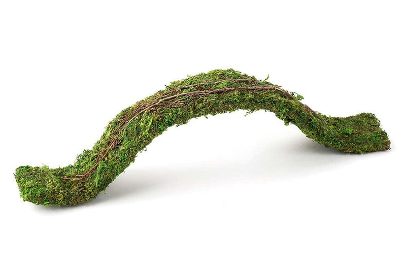 Galapagos Terrarium Sphagnum Moss, 4 Quart