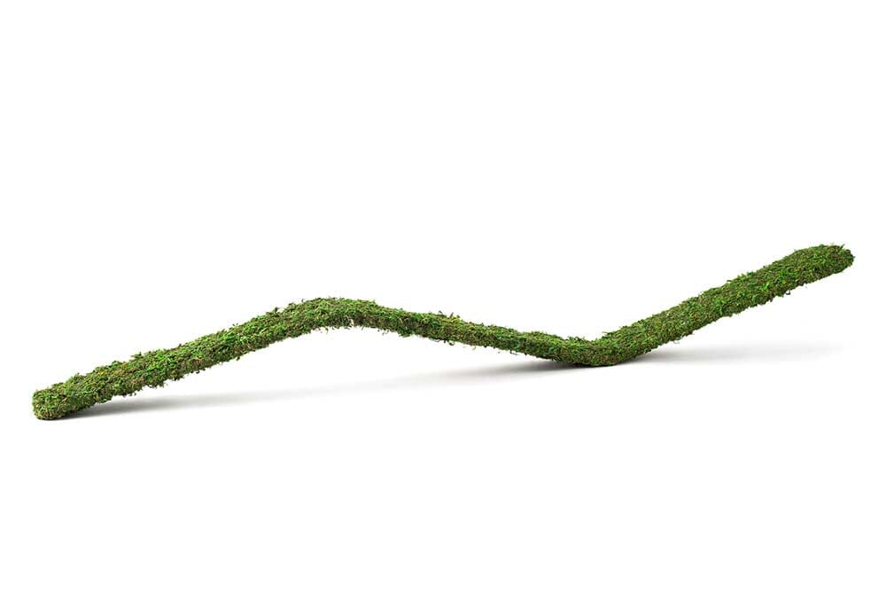 Galapagos Flexible Bridge Terrarium Ornament - Fresh Green - 3 ft