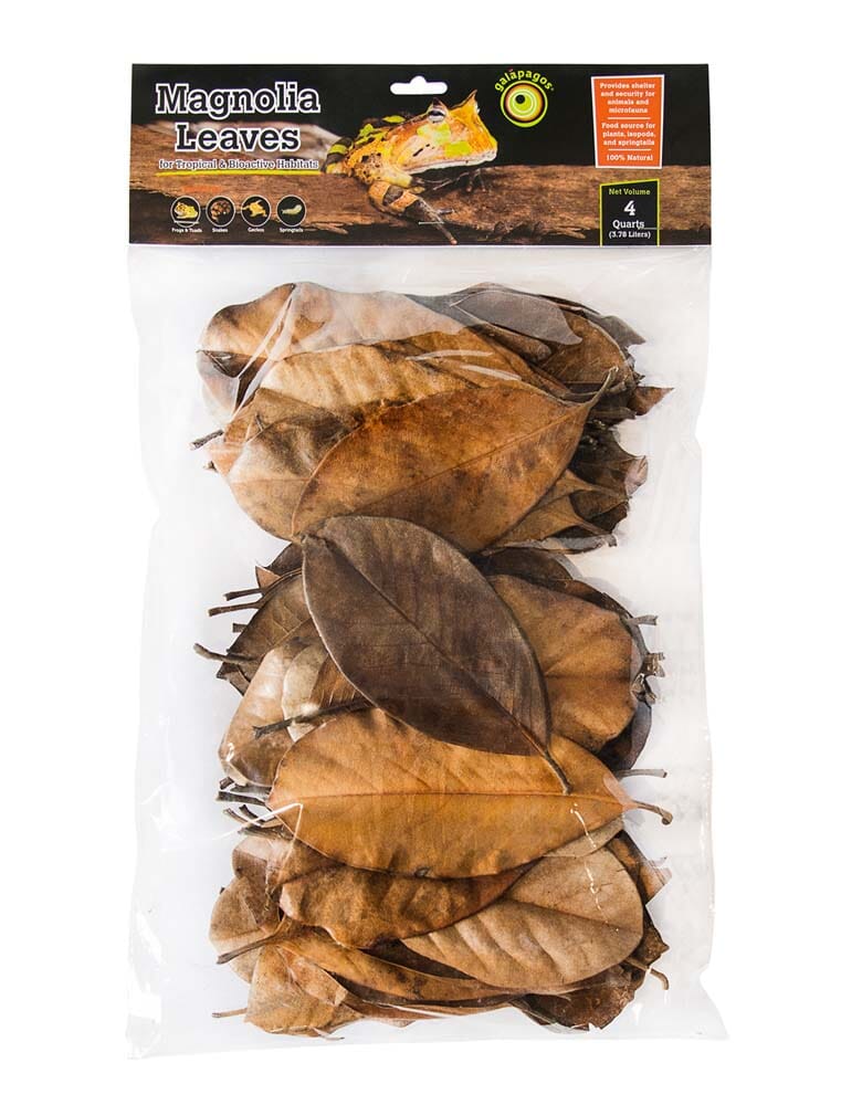 Galapagos Magnolia Leaves for Tropical & Bioactive Habitats - Brown - 4 qt