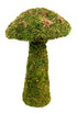 Galapagos Moss Mushroom Decorative Terrarium Ornament - Fresh Green - 11 in - Small  