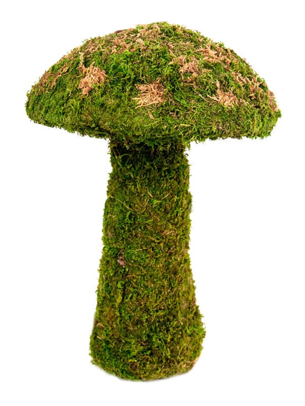 Galapagos Moss Mushroom Decorative Terrarium Ornament - Fresh Green - 14 in - Medium
