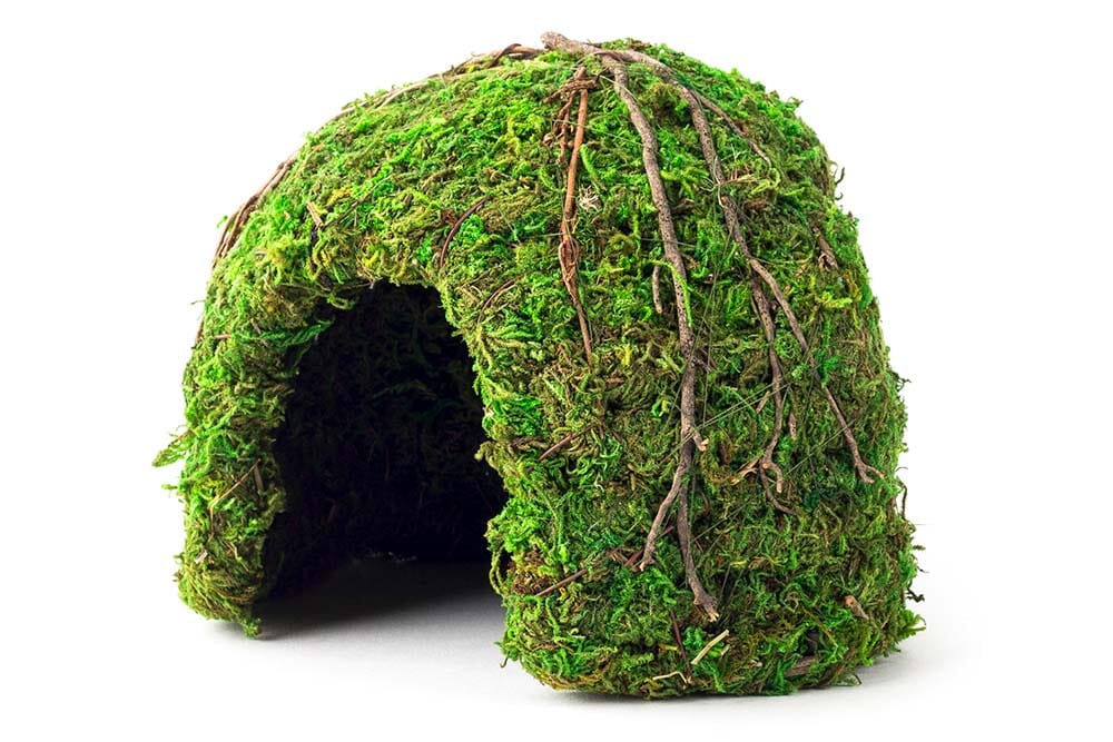 Galapagos Mossy Dome Terrarium Hideaway - Fresh Green - 6 in