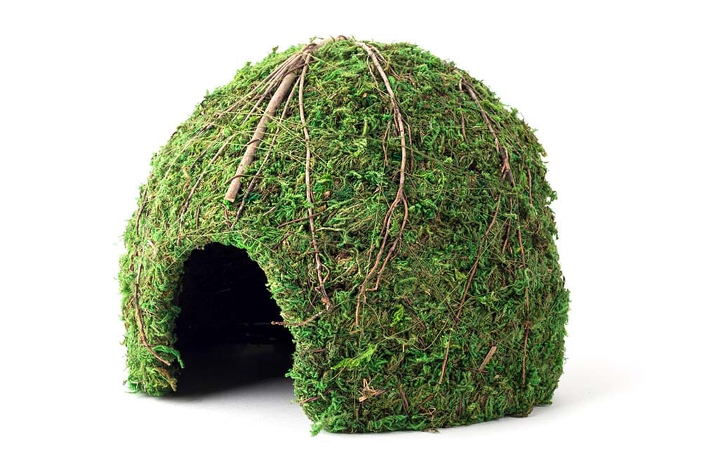 Galapagos Mossy Dome Terrarium Hideaway - Fresh Green - 9 in