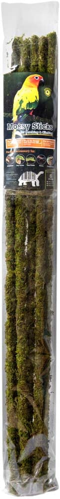 Galapagos Mossy Sticks Terrarium Ornament - Fresh Green - 32 in - 6 Count