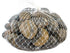Galapagos Natural Stones for Terrarium - Tiger's Eye - 4 lb
