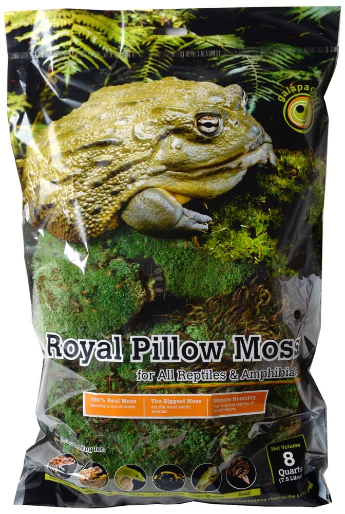 Galapagos Royal Pillow Moss for Tropical & Forest Tanks - Fresh Green - 8 Qt