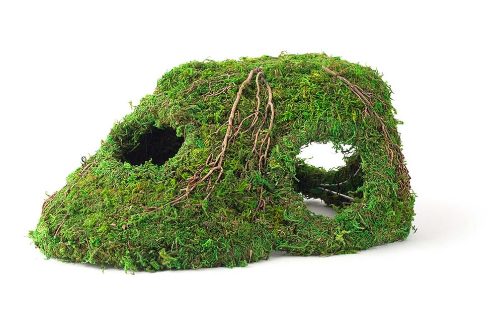 Galapagos Sapa Corner Hide Terrarium Hideaway - Fresh Green - 10 in
