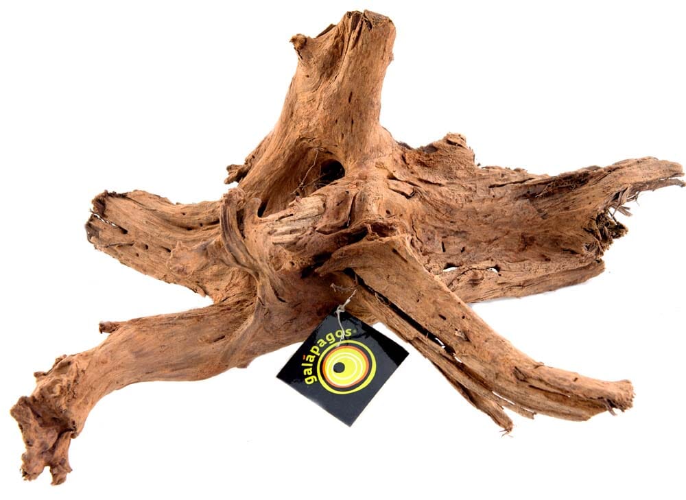 Galapagos Sinkable Driftwood Brown - 11-13 in - Medium