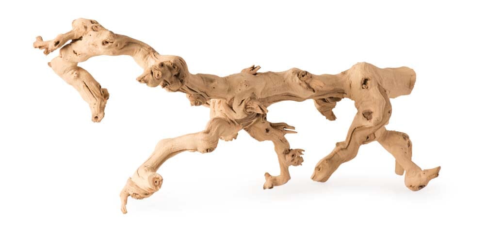 Galapagos Walking Wood Grapevine Branch - Brown - 19 In - 24 in