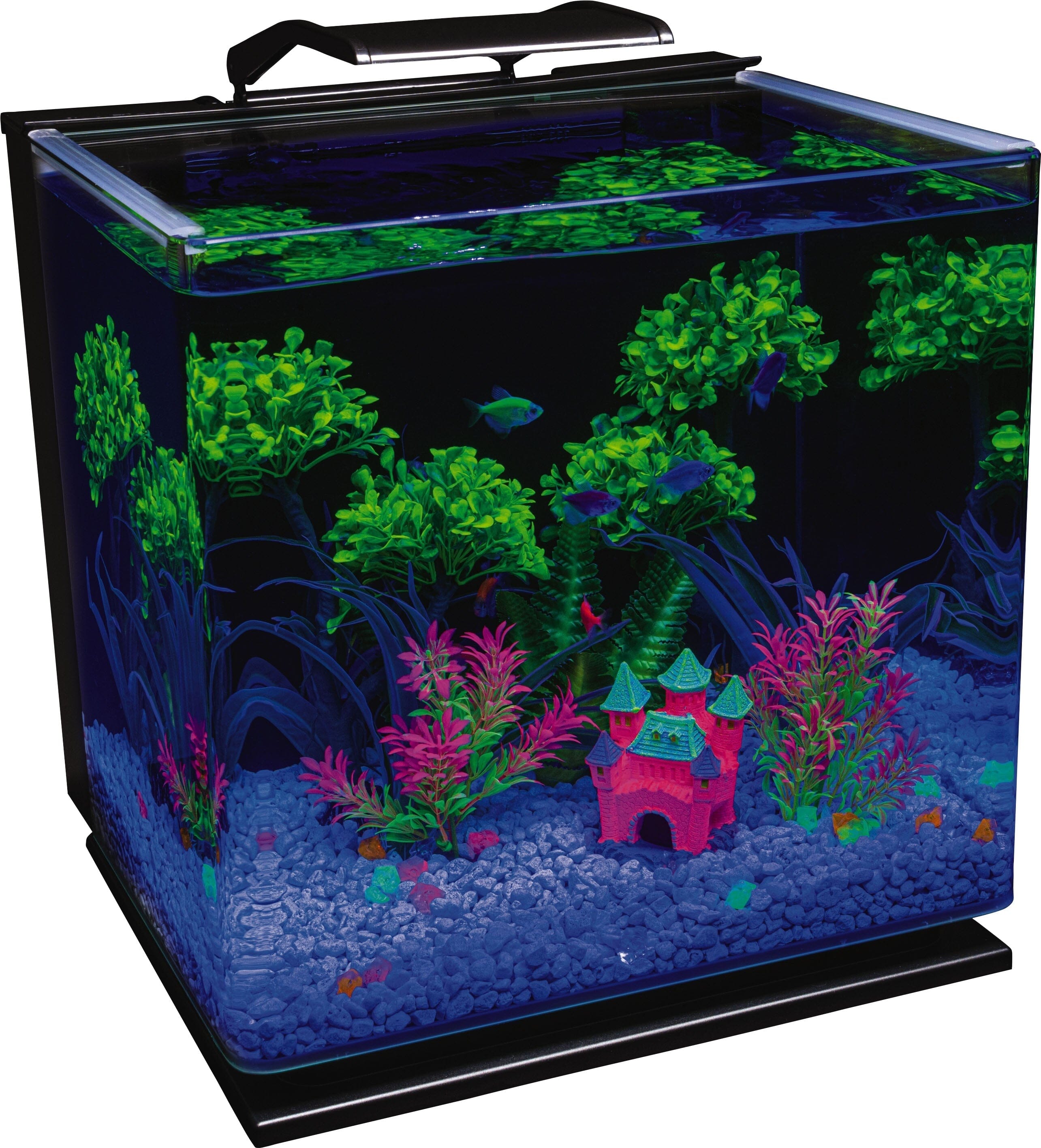 Glofish LED Aquarium Kit Aquatics Starter Kits - 10 Gal